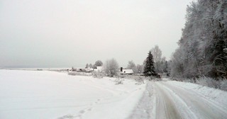 Дорога в деревня Трудпчела (Борис Бусоргин)