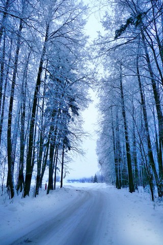 Дорога. Деревня ТрудПчела (Борис Бусоргин)