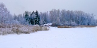 На ижевском пруду, декабрь 2007. Урочище Сухой Ельник (Борис Бусоргин)