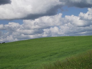 Зарисовки, недалеко от с. Волково (Andrey Ivashchenko)
