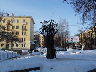 Дерево желаний (Дмитрий Зонов)