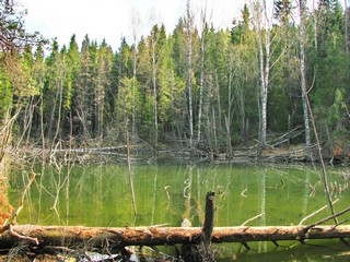 озеро бобровое (Максим Баранов)