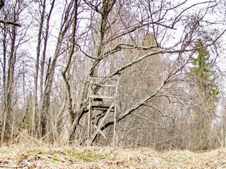 р.Ишеть (Максим Баранов)