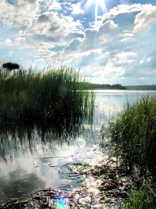 пруд Липатенский, (Максим Баранов)