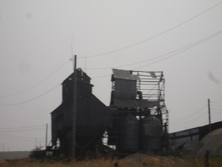 заброшенная ферма (мышка)