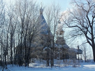 Морозное утро, Никульчино (Дмитрий Зонов)