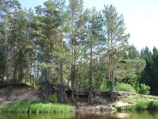 р. Белая Холуница 2011 (bokax)