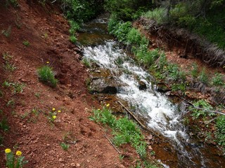 Берега р. Белая Холуница 2011 (bokax)