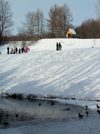 Люди и утки. Дендропарк. (Дмитрий Зонов)