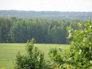 вид с садового участка (Нина Бунтовичева)
