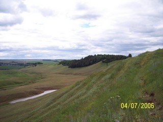 Роща на склоне (SergZlatRu)