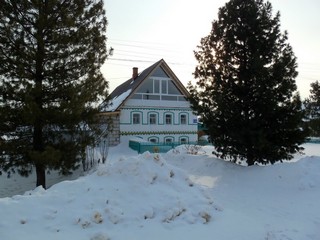 Между кедров (Дмитрий Зонов)