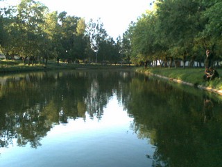 Пруд)) (alexkursant)