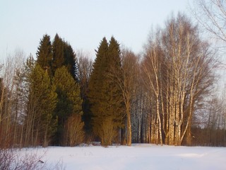 Скоро весна (ezhevika_43)