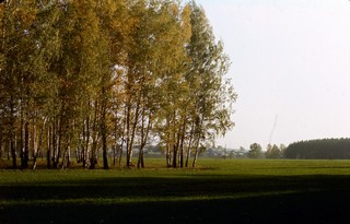 Арский район, Шека, 1988 г. (Rashit Zagidoullin)