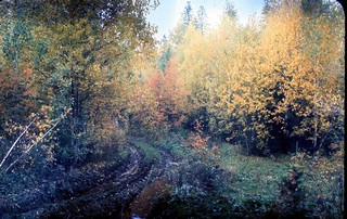 Арский район, Шека, 1988 г. (Rashit Zagidoullin)