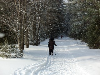 Лыжня у Машкачей (Дмитрий Зонов)