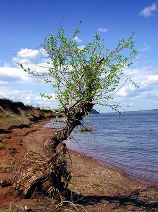 Берег Камы у Тарасово (VitalyS)