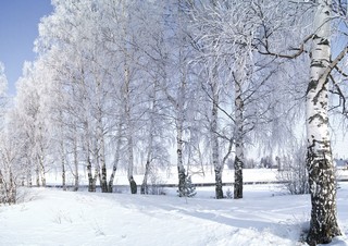 Лисовская гора (Master_Team)