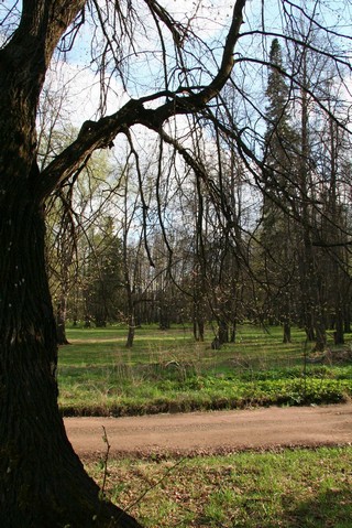 Липа (Михаил Ревин)