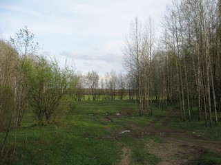 Весна боровая (Никита Боков)