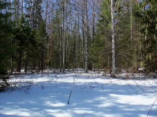 21 апреля, снега - по колено. (Дмитрий Зонов)