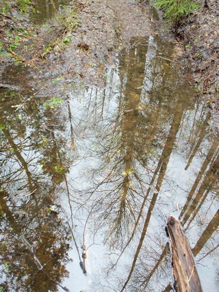 Отражение 2 (Дмитрий Зонов)