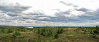  Панорама Вятки на Петропавловское и Советск (Максим Баранов)