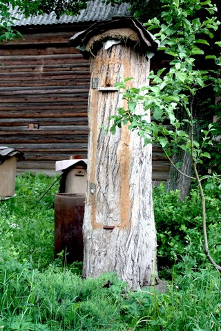 Beehive. According to ancient tradition (Oleg Shvalev)