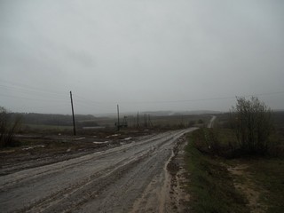 Ромаши (Andrey Ivashchenko)