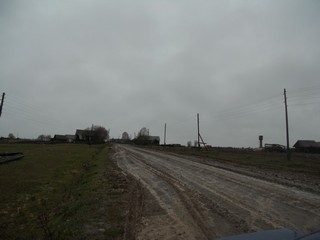 Ромаши (Andrey Ivashchenko)