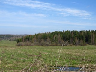 Май у Степанков (Дмитрий Зонов)