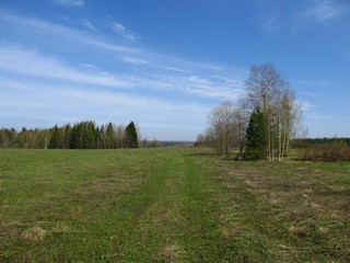 Заброшеная дорога у Степанков (Дмитрий Зонов)