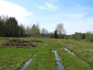 Дорога к Долиничам (Дмитрий Зонов)