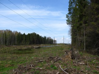 ЛЭП (Дмитрий Зонов)