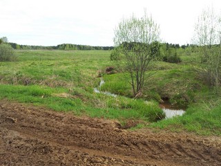 Ручей перед ур. Пашковы (Pavel Ermolaev)