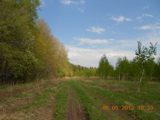 Краски весны (ЯГУАР)