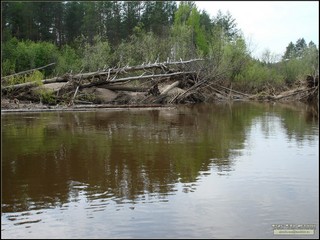 р. Малая Кокшага (район лесничества). Марий Эл. Россия. 2012 г.  (Alex Van Shumm)
