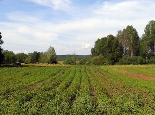 Озеро Кузнечиха. Весна 2011. (сайт: кузнечиха.рф) (Максим Щербаков)