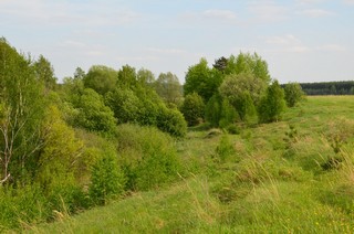 д. Зайчики (Lexatoroxa)