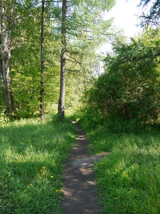 Тропинка (Никита Боков)