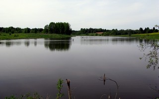 Сырчинский пруд (Алексей Князев)