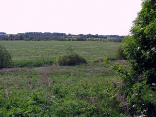 Вид на Филипповку от Родыгинцев (Алексей Князев)