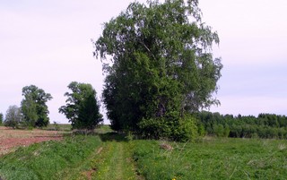 Бывшие Родыгинцы (Алексей Князев)