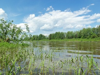 Большая вода июня (Дмитрий Зонов)
