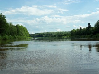 Чепца, июнь (Дмитрий Зонов)