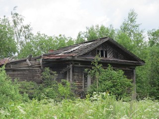 Молоканка (Дмитрий Зонов)