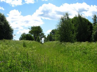 Главная улица б/д Зоновщина (Дмитрий Зонов)