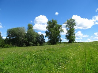 Здесь была кузница, б/д Зоновщина (Дмитрий Зонов)