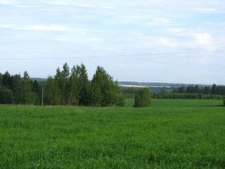 Родные просторы (Дмитрий Зонов)